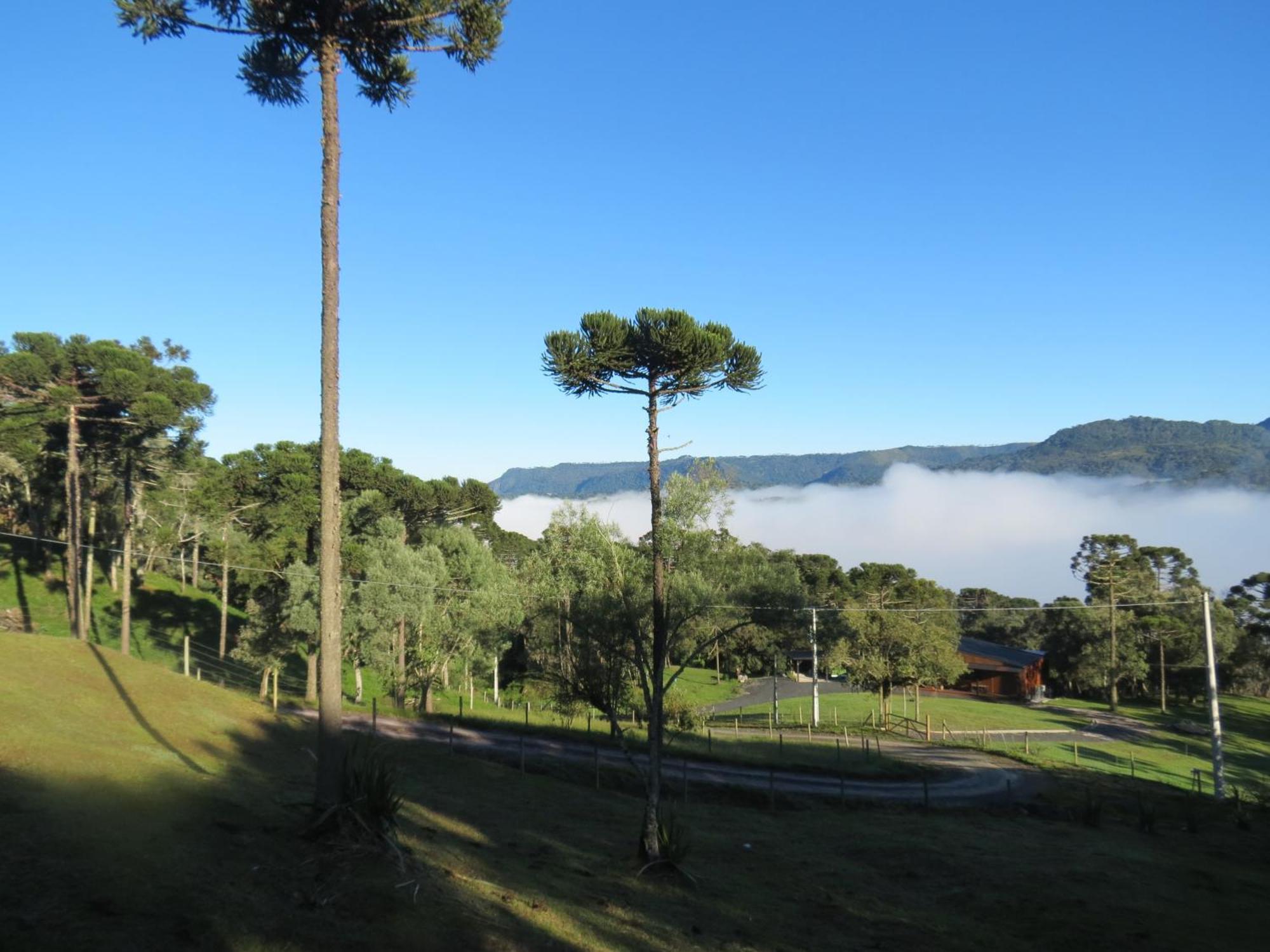 Refugio Da Montanha Villa Urubici Kültér fotó